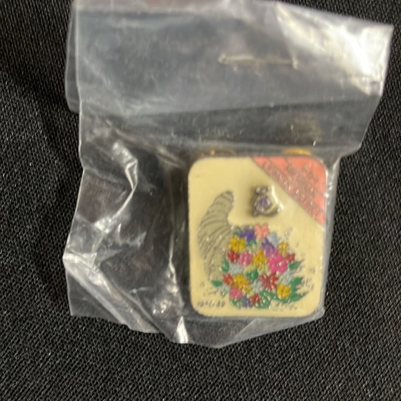 Lions & Lioness Club Lot of 13 Lapel Pins - Picture 9 of 10